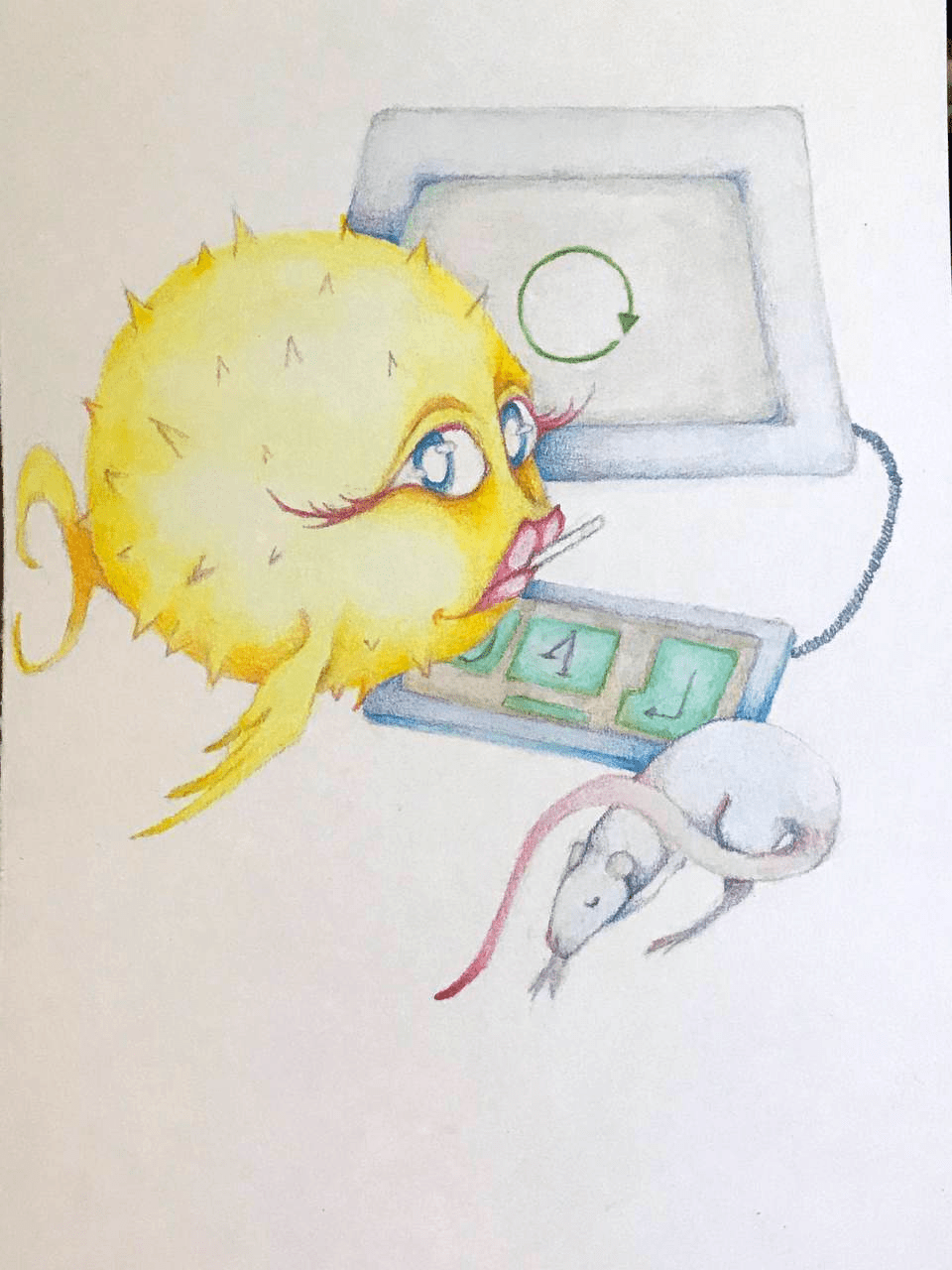 A Puffy using a computer